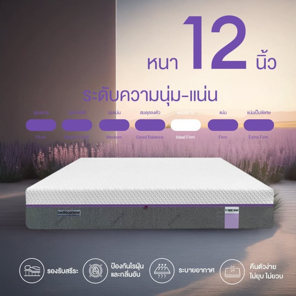 ที่นอน 3.5 ฟุต BEDISUPREME รุ่น XTREME-FORCE หนา 12 นิ้ว