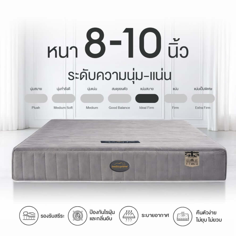 ที่นอนยางพารา 7ZONE 3.5 ฟุต BEDISUPREME รุ่น MAXTEX หนา 8 นิ้ว