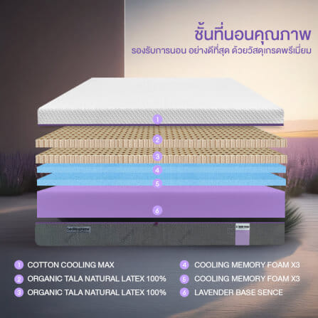 ที่นอน 3.5 ฟุต BEDISUPREME รุ่น XTREME-FORCE หนา 10 นิ้ว_2