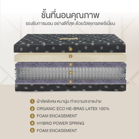 ที่นอน 5 ฟุต BEDISUPREME รุ่น BLISSIA_2