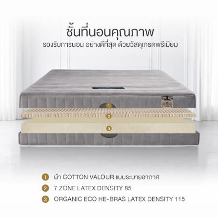 ที่นอนยางพารา 7ZONE 3.5 ฟุต BEDISUPREME รุ่น MAXTEX หนา 8 นิ้ว_2