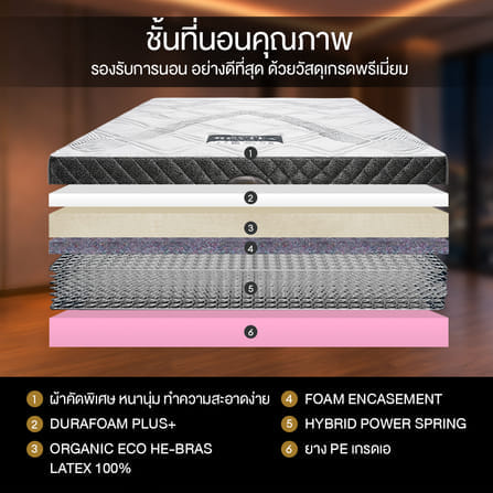 ที่นอน 6 ฟุต BEDISUPREME รุ่น REVITA_2