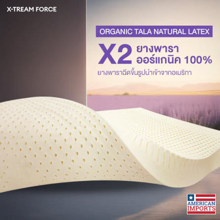 ที่นอน 3.5 ฟุต BEDISUPREME รุ่น XTREME-FORCE หนา 10 นิ้ว_3
