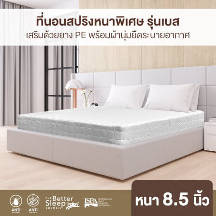 ที่นอน 6 ฟุต BEDISUPREME รุ่น BEST หนา 8.5 นิ้ว สีขาว_3