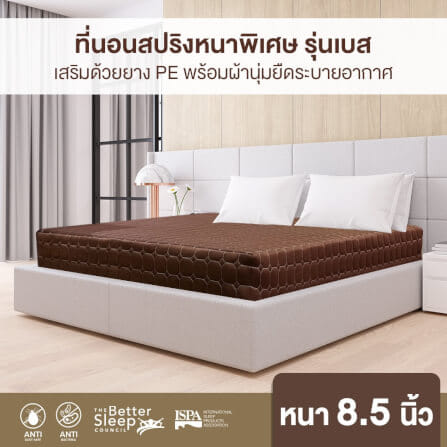 ที่นอน 6 ฟุต BEDISUPREME รุ่น BEST หนา 8.5 นิ้ว สีน้ำตาล_3