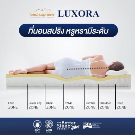 ที่นอน 3.5ฟุต BEDISUPREME รุ่น LUXORA หนา 8 นิ้ว_3