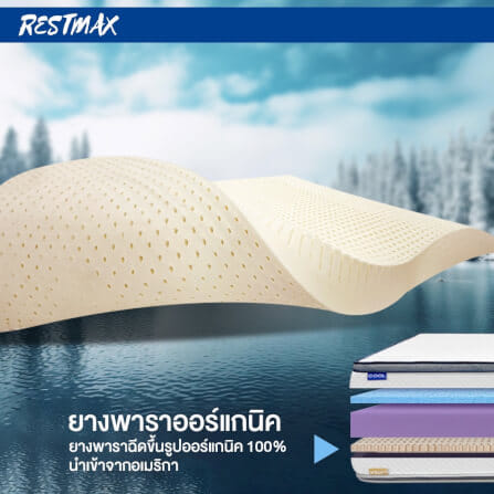 ที่นอน 3.5 ฟุต BEDISUPREME รุ่น RESTMAX หนา 7 นิ้ว_4