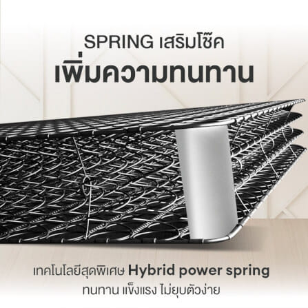 ที่นอน 5 ฟุต BEDISUPREME รุ่น BLISSIA_4