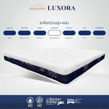 ที่นอน 3.5ฟุต BEDISUPREME รุ่น LUXORA หนา 8 นิ้ว_4
