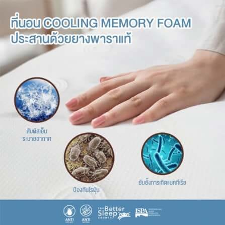 ที่นอนเมมโมรี่โฟมอัลตร้าไฮบริด 3.5 ฟุต BEDISUPREME รุ่น EARTHZONE หนา 10 นิ้ว_6