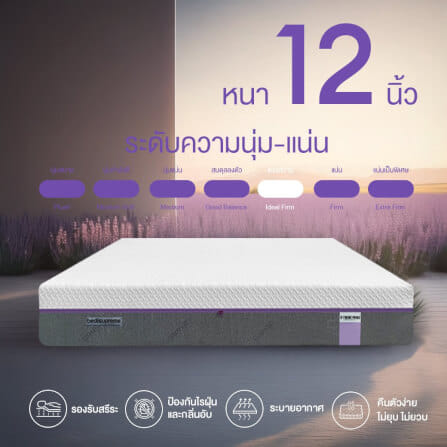 ที่นอน 3.5 ฟุต BEDISUPREME รุ่น XTREME-FORCE หนา 12 นิ้ว_7