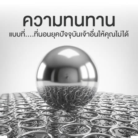 ที่นอน 5 ฟุต BEDISUPREME รุ่น BLISSIA_8