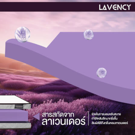 ที่นอน 3 พับ 5 ฟุต BEDISUPREME รุ่น LAVENCY_2