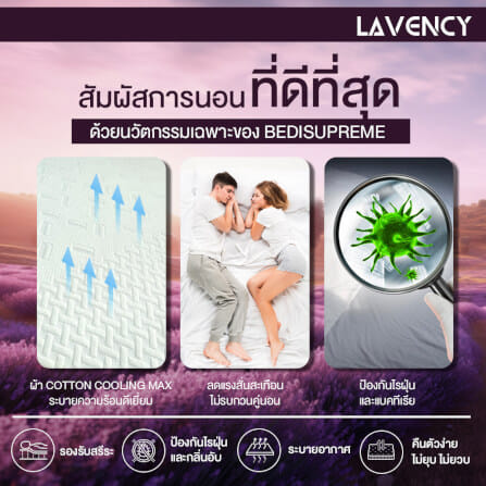 ที่นอน 3 พับ 5 ฟุต BEDISUPREME รุ่น LAVENCY_5