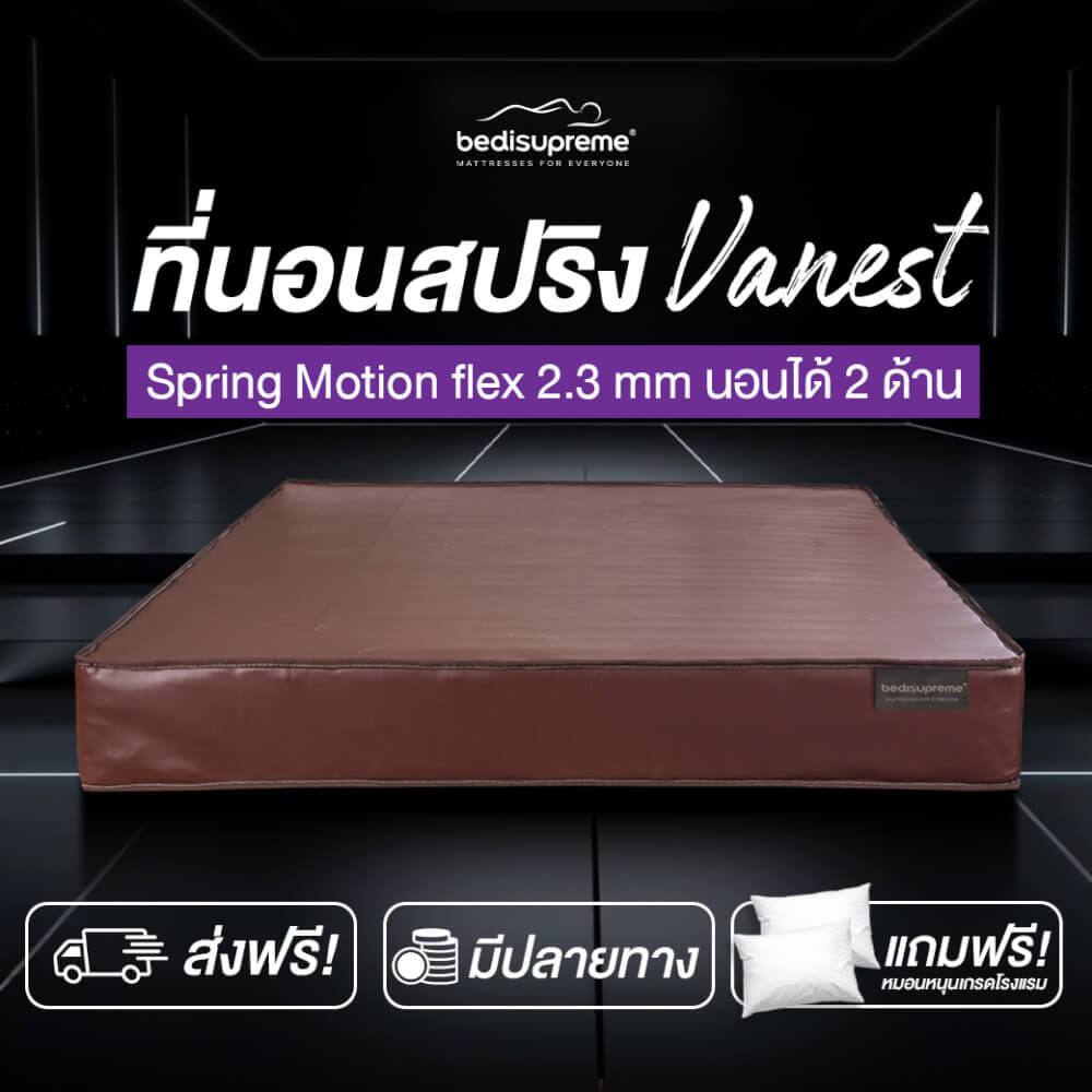 ที่นอน 5 ฟุต BEDISUPREME รุ่น VANEST หนา 9 นิ้ว สีน้ำตาล_1