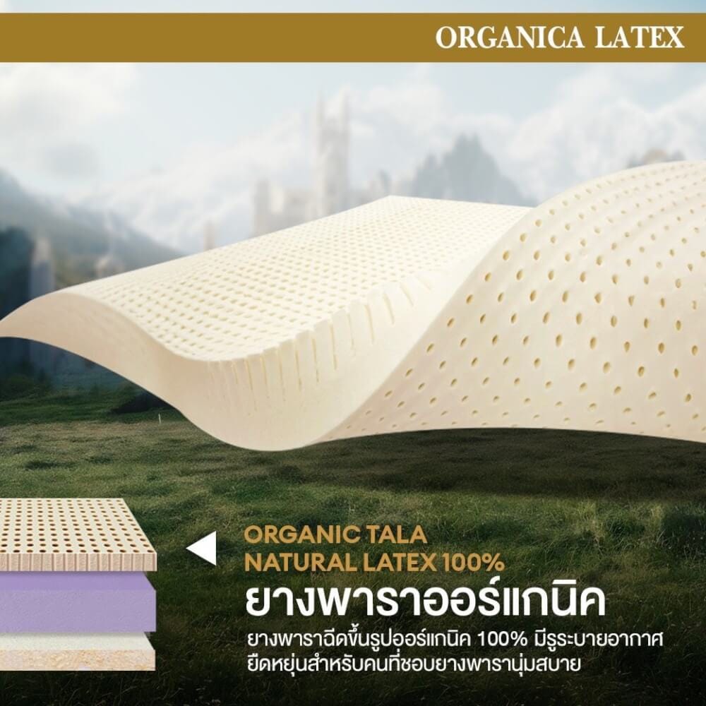  ที่นอน 3.5 ฟุต BEDISUPREME รุ่น ORGANICA LATEX หนา 6 นิ้ว