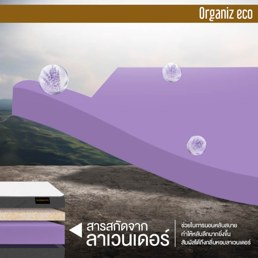 ที่นอน 5 ฟุต BEDISUPREME รุ่น ORGANIZ ECO หนา 7 นิ้ว
