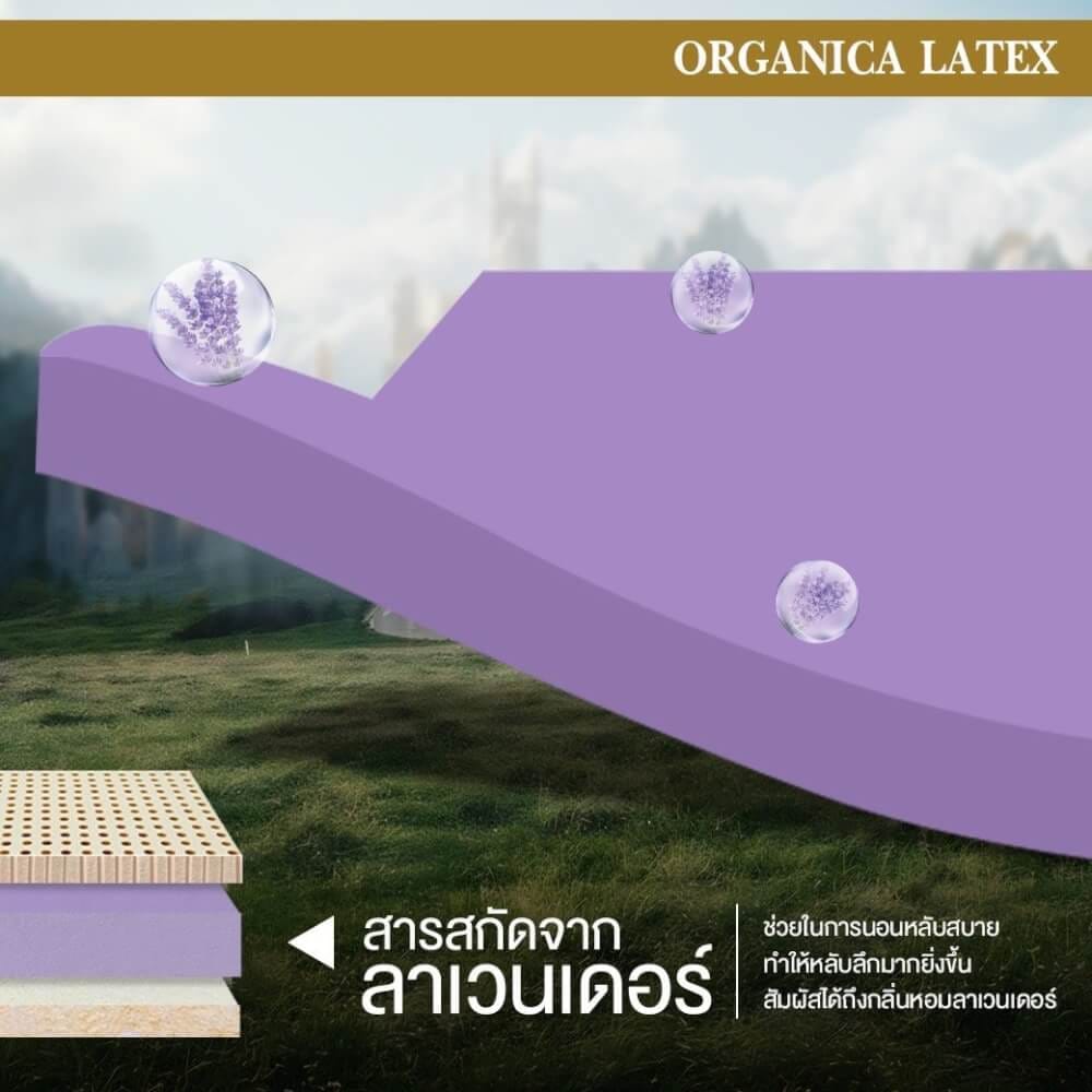  ที่นอน 3.5 ฟุต BEDISUPREME รุ่น ORGANICA LATEX หนา 6 นิ้ว