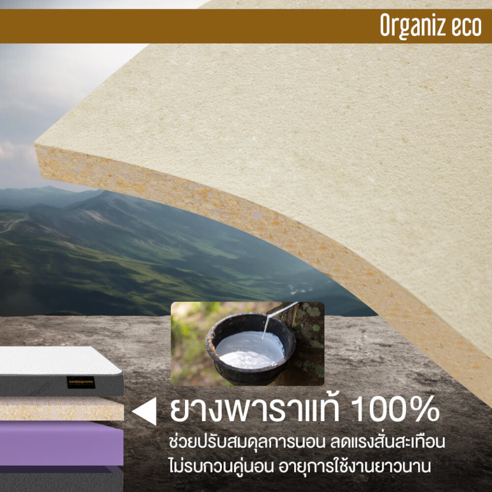 ที่นอน 5 ฟุต BEDISUPREME รุ่น ORGANIZ ECO หนา 7 นิ้ว