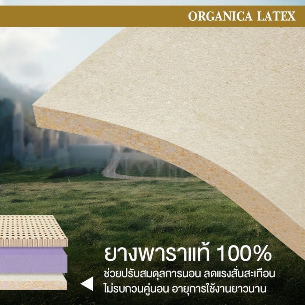  ที่นอน 3.5 ฟุต BEDISUPREME รุ่น ORGANICA LATEX หนา 6 นิ้ว
