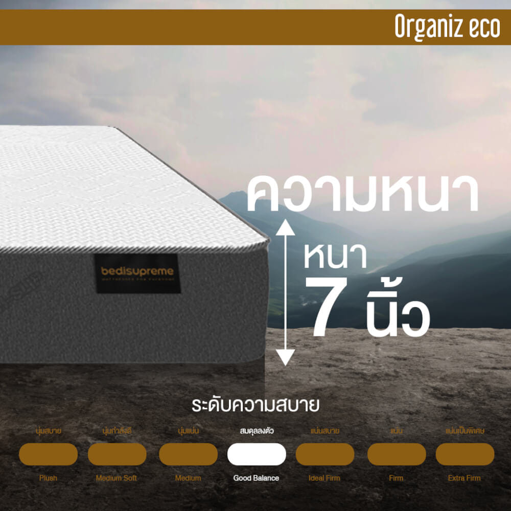 ที่นอน 5 ฟุต BEDISUPREME รุ่น ORGANIZ ECO หนา 7 นิ้ว
