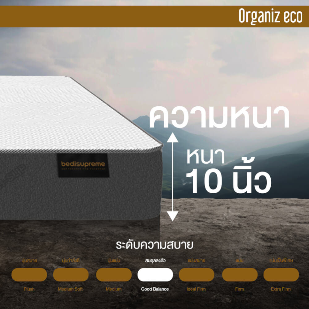 ที่นอน 5 ฟุต BEDISUPREME รุ่น ORGANIZ ECO หนา 10 นิ้ว
