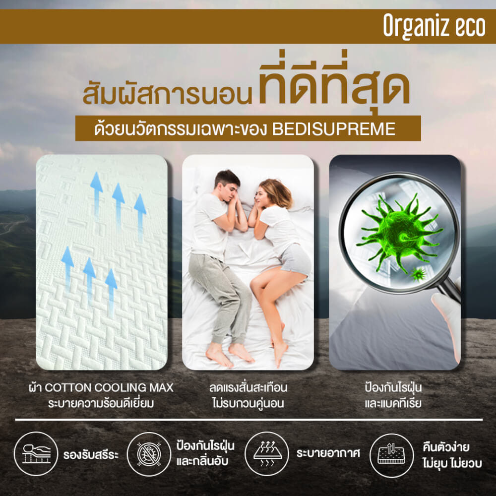 ที่นอน 5 ฟุต BEDISUPREME รุ่น ORGANIZ ECO หนา 7 นิ้ว