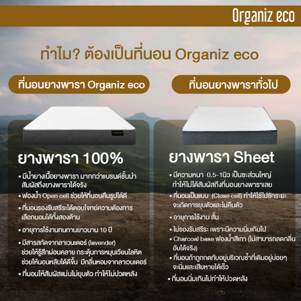 ที่นอน 5 ฟุต BEDISUPREME รุ่น ORGANIZ ECO หนา 7 นิ้ว