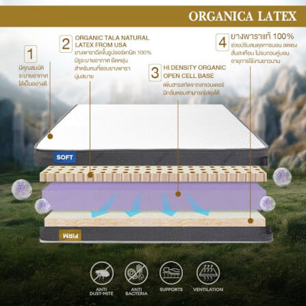  ที่นอน 3.5 ฟุต BEDISUPREME รุ่น ORGANICA LATEX หนา 6 นิ้ว_2
