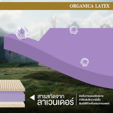  ที่นอน 3.5 ฟุต BEDISUPREME รุ่น ORGANICA LATEX หนา 6 นิ้ว_4