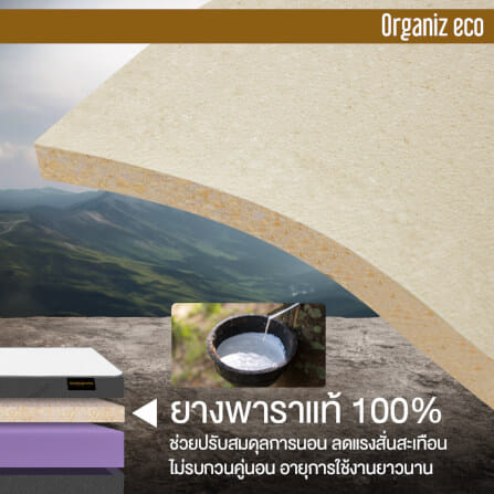 ที่นอน 5 ฟุต BEDISUPREME รุ่น ORGANIZ ECO หนา 7 นิ้ว_4