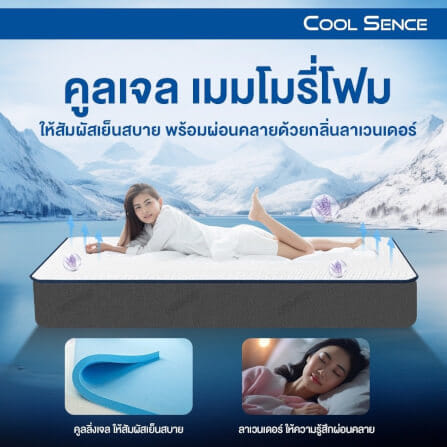 ที่นอน 3.5 ฟุต BEDISUPREME รุ่น Coolsence หนา 9.5 นิ้ว_5