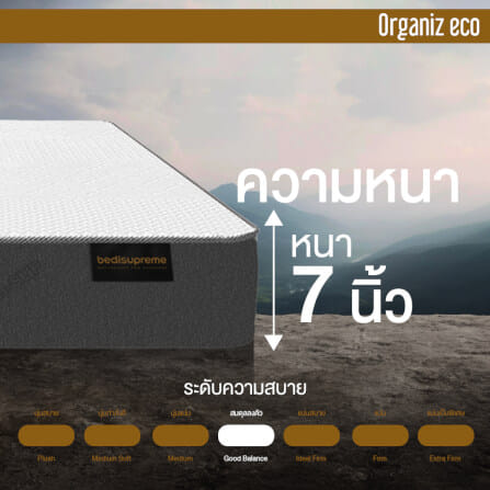 ที่นอน 5 ฟุต BEDISUPREME รุ่น ORGANIZ ECO หนา 7 นิ้ว_5