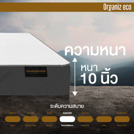 ที่นอน 5 ฟุต BEDISUPREME รุ่น ORGANIZ ECO หนา 10 นิ้ว_5