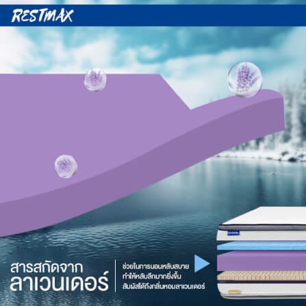  ที่นอน 6 ฟุต BEDISUPREME รุ่น RESTMAX หนา 11 นิ้ว_5