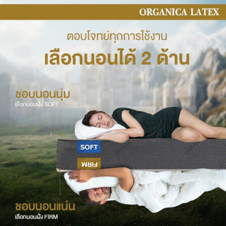  ที่นอน 3.5 ฟุต BEDISUPREME รุ่น ORGANICA LATEX หนา 6 นิ้ว_6