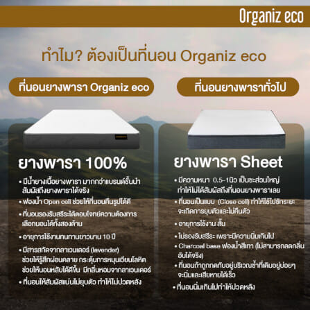 ที่นอน 5 ฟุต BEDISUPREME รุ่น ORGANIZ ECO หนา 7 นิ้ว_8