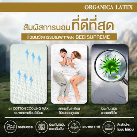  ที่นอน 3.5 ฟุต BEDISUPREME รุ่น ORGANICA LATEX หนา 6 นิ้ว_9