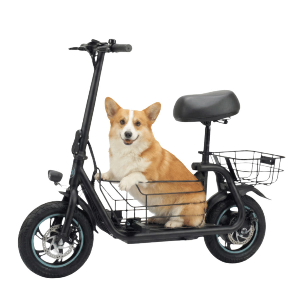 สกู๊ตเตอร์ไฟฟ้าแบบนั่งขี่ GYROOR C1S