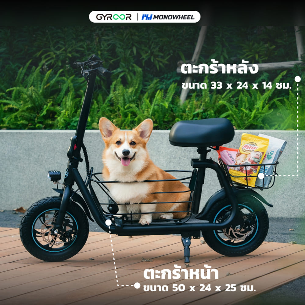 สกู๊ตเตอร์ไฟฟ้าแบบนั่งขี่ GYROOR C1S