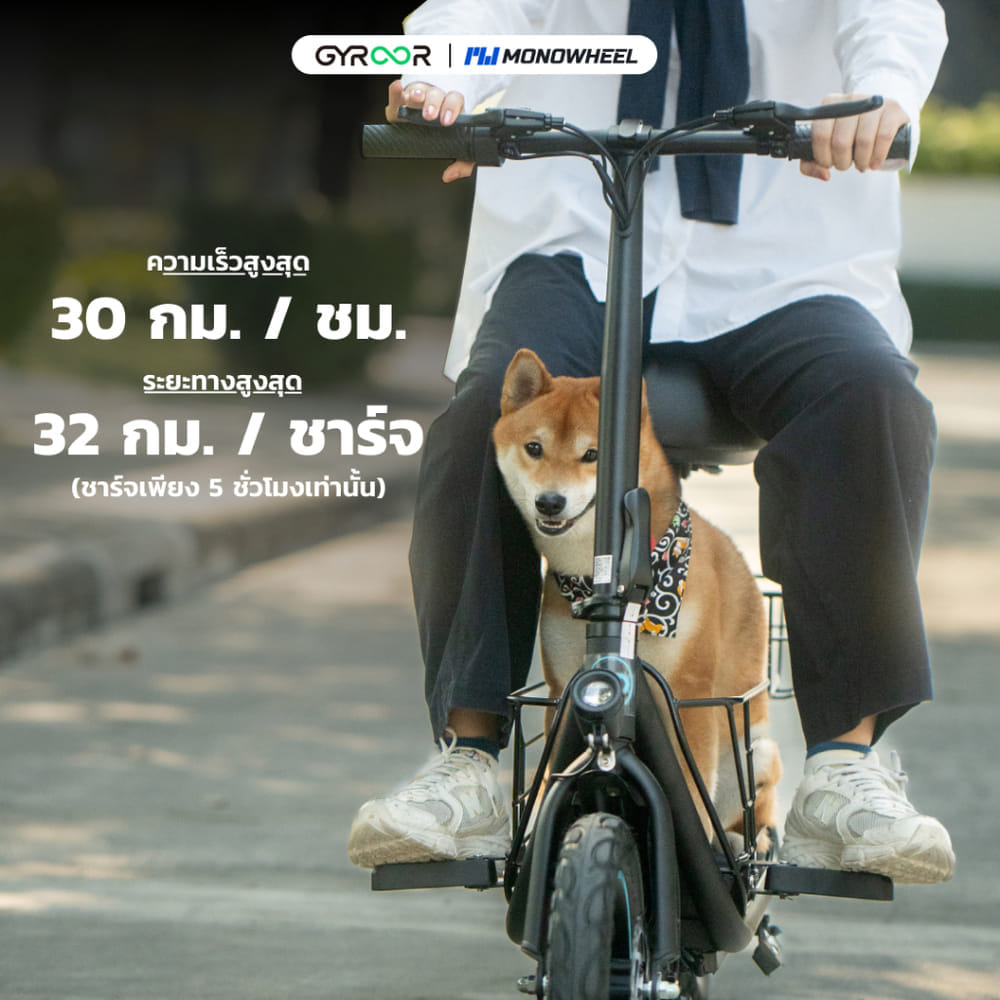 สกู๊ตเตอร์ไฟฟ้าแบบนั่งขี่ GYROOR C1S
