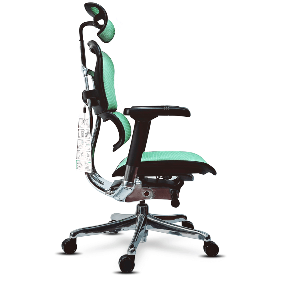 เก้าอี้เพื่อสุขภาพ DF PROCHAIR รุ่น Ergo Elite Pro สีเขียว