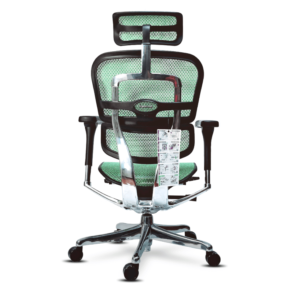 เก้าอี้เพื่อสุขภาพ DF PROCHAIR รุ่น Ergo Elite Pro สีเขียว