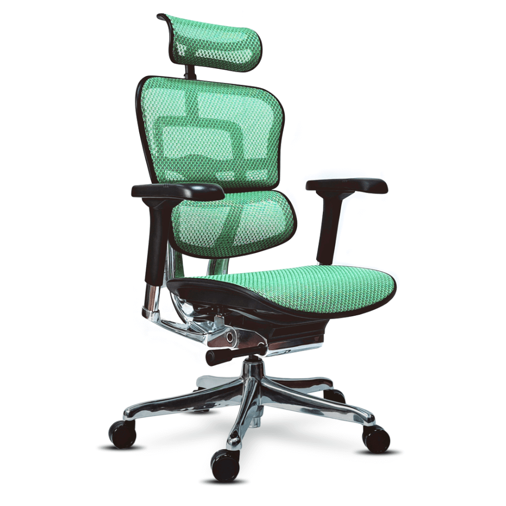 เก้าอี้เพื่อสุขภาพ DF PROCHAIR รุ่น Ergo Elite Pro สีเขียว