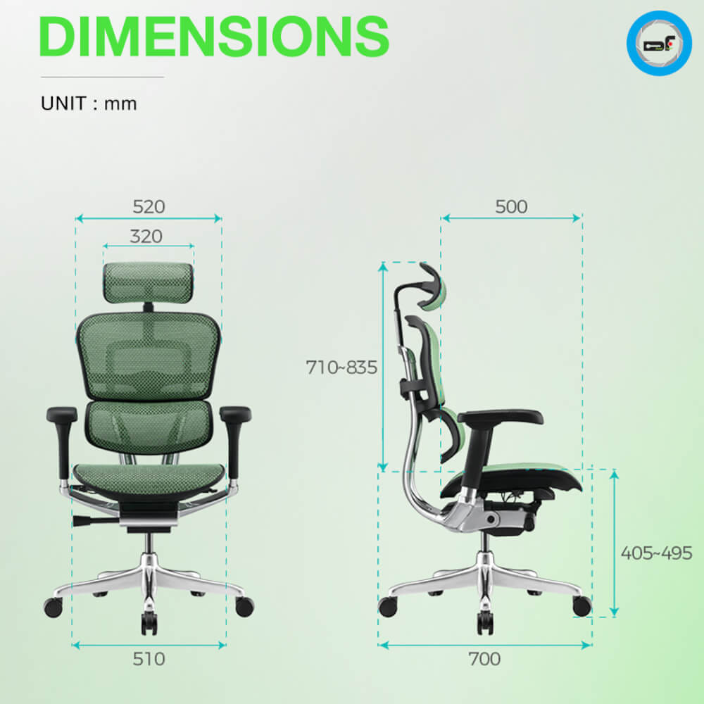 เก้าอี้เพื่อสุขภาพ DF PROCHAIR รุ่น Ergo Elite Pro สีน้ำเงิน
