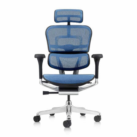 เก้าอี้เพื่อสุขภาพ DF PROCHAIR รุ่น Ergo Elite Pro สีน้ำเงิน_0