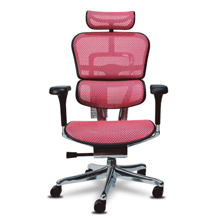 เก้าอี้เพื่อสุขภาพ DF PROCHAIR รุ่น Ergo Elite Pro สีชมพู_0