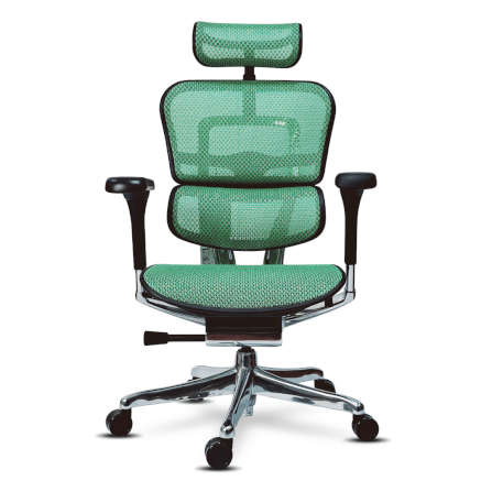 เก้าอี้เพื่อสุขภาพ DF PROCHAIR รุ่น Ergo Elite Pro สีเขียว_0