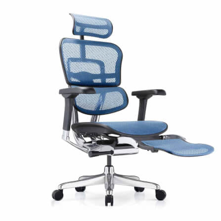 เก้าอี้เพื่อสุขภาพ DF PROCHAIR รุ่น Ergo Elite Pro+ สีน้ำเงิน_0