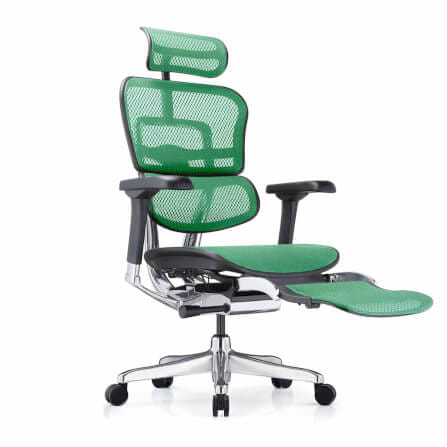 เก้าอี้เพื่อสุขภาพ DF PROCHAIR รุ่น Ergo Elite Pro+ สีเขียว_1